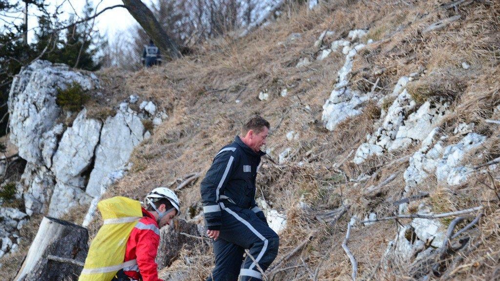 Paragleiter in Baum hängengeblieben