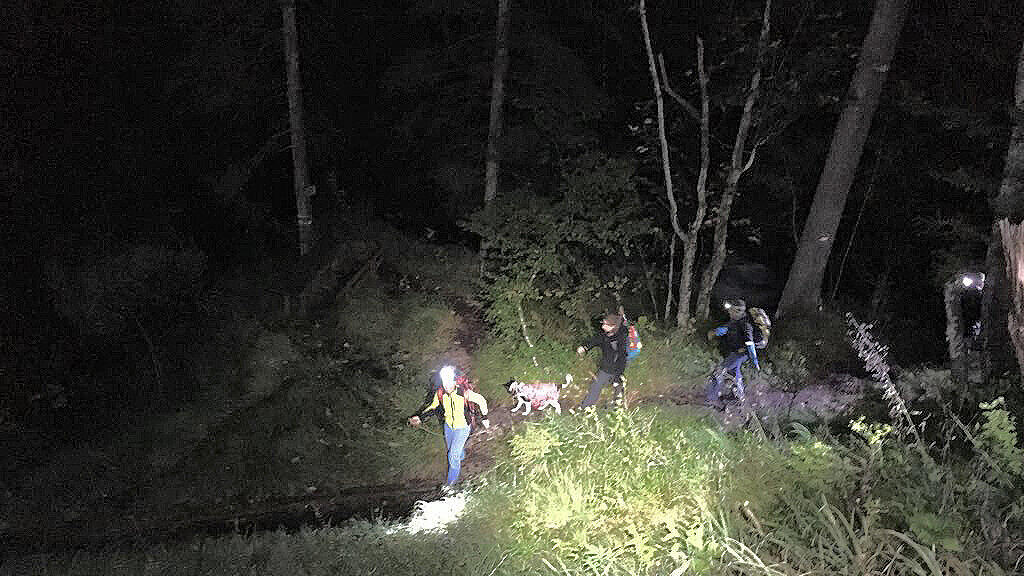 Der verängstigte Hund wurde mit einem Seil gerettet.
