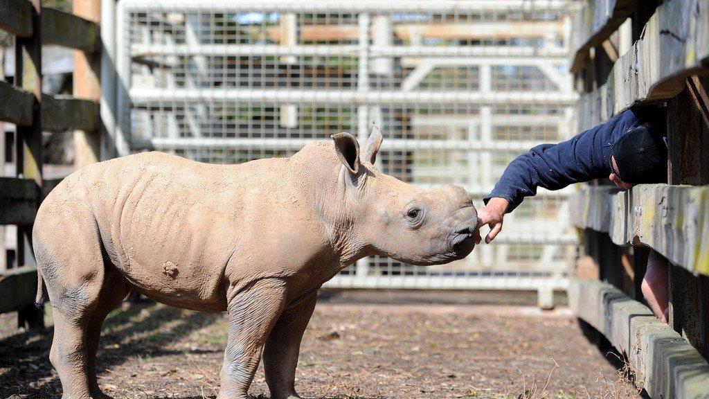 Die Tierbilder der Woche