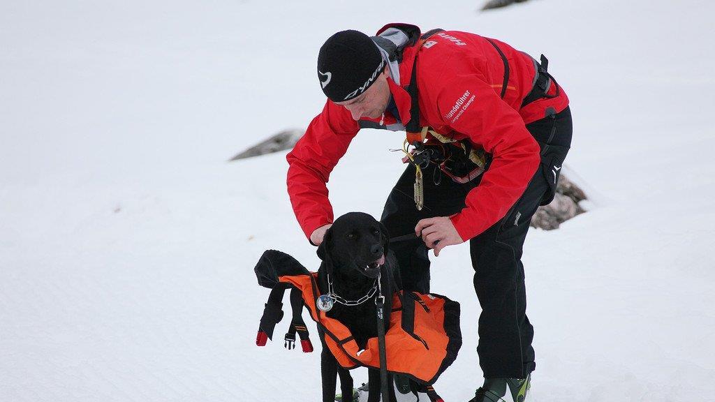 Superhunde im Einsatz
