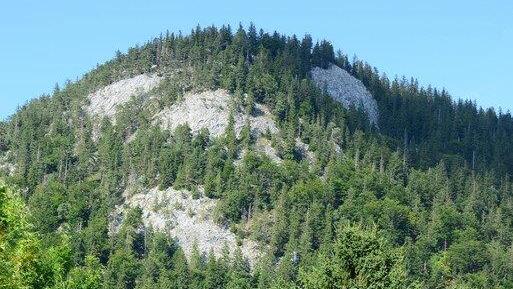 Paragleiter bleibt in Baum hängen