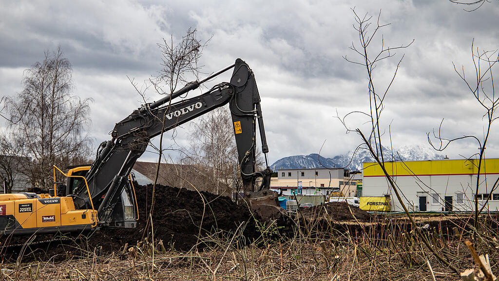 Schallmoos, Bagger, Biotop, Weiss