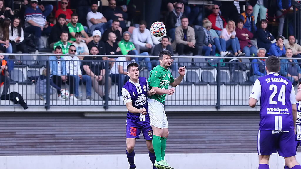 Hallein, Hallwang, Salzburger Liga