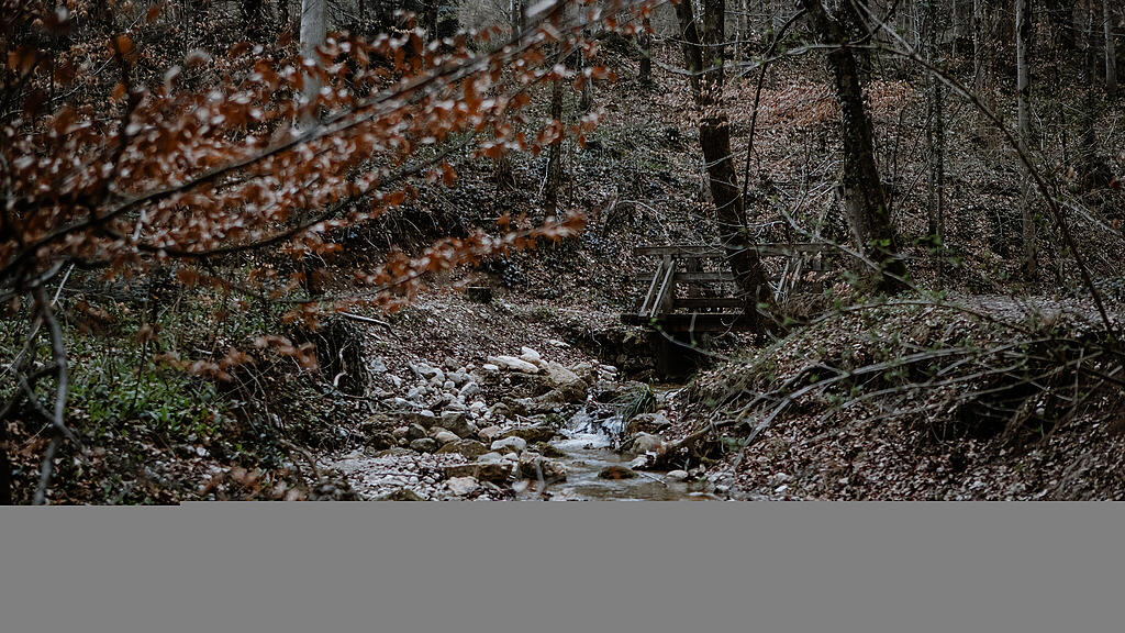 Nachmittagsspaziergang Hexenloch