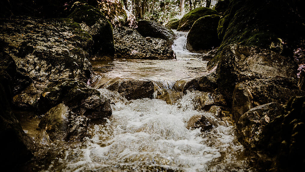 Alterbach, Gaisberg-4.jpg