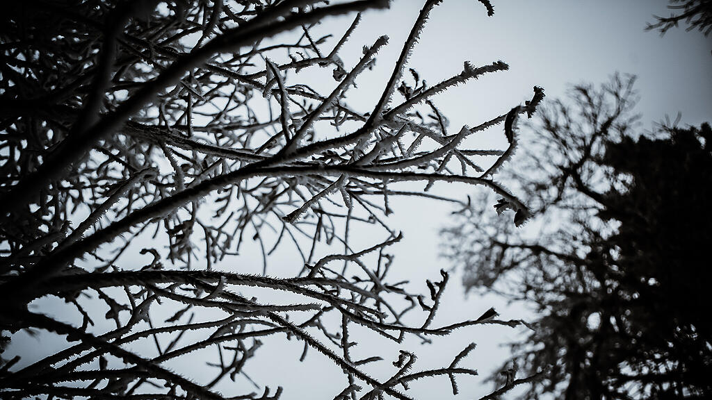 Schnee am Gaisberg