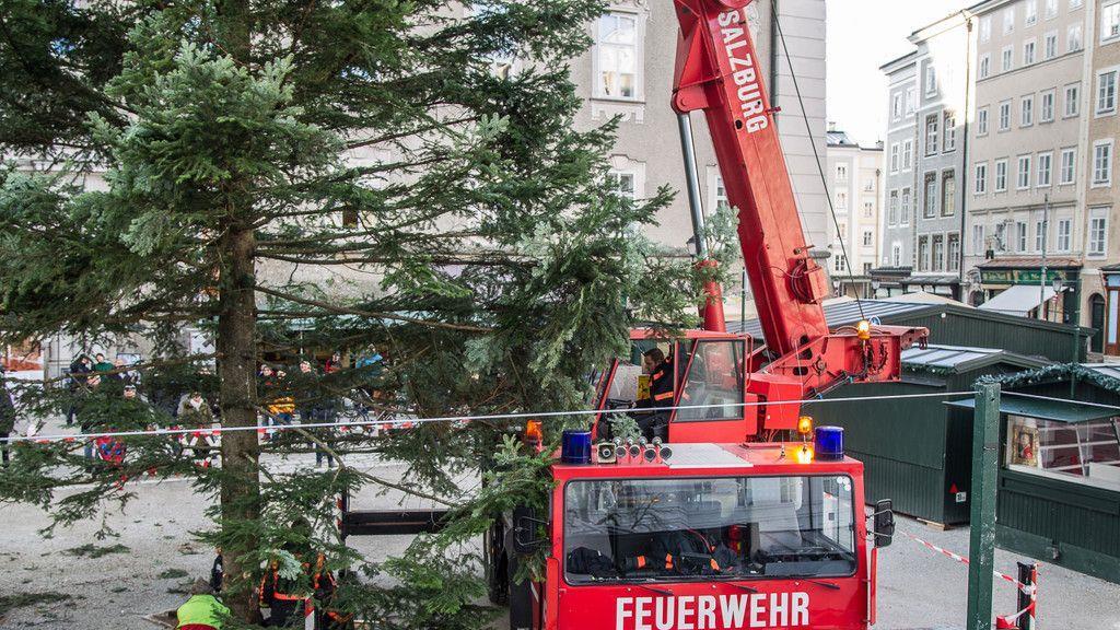 Christbaum am Residenzplatz I