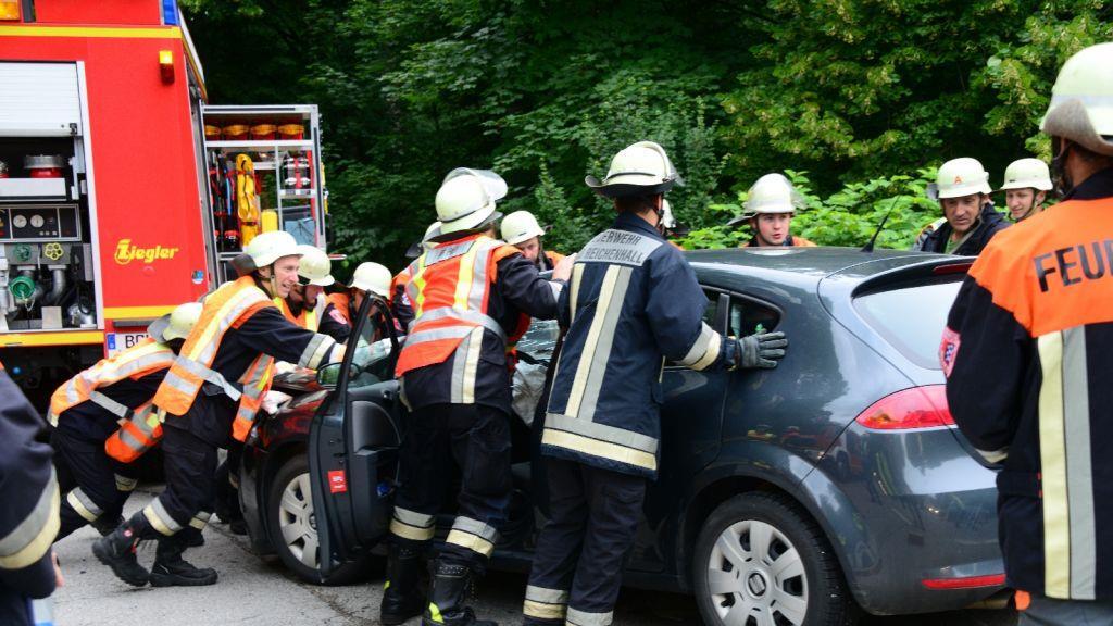 Pinzgauerinnen in Bayern verletzt, I