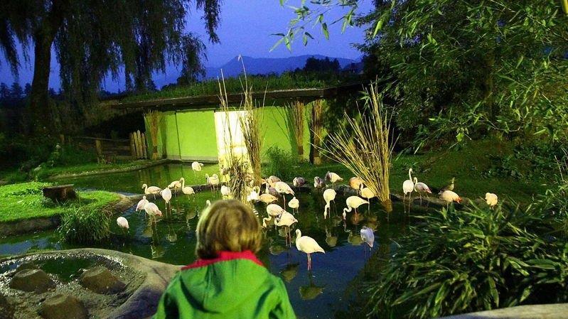 Nachtzoo in Salzburg