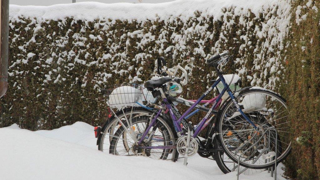Winterimpressionen