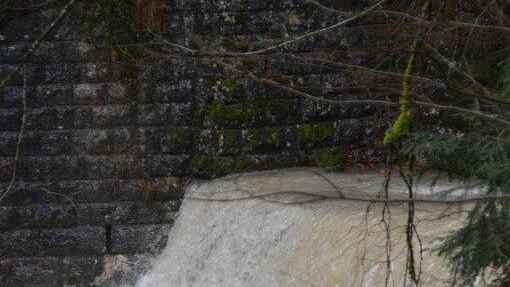 Glasenbachklamm: Hoher Pegel