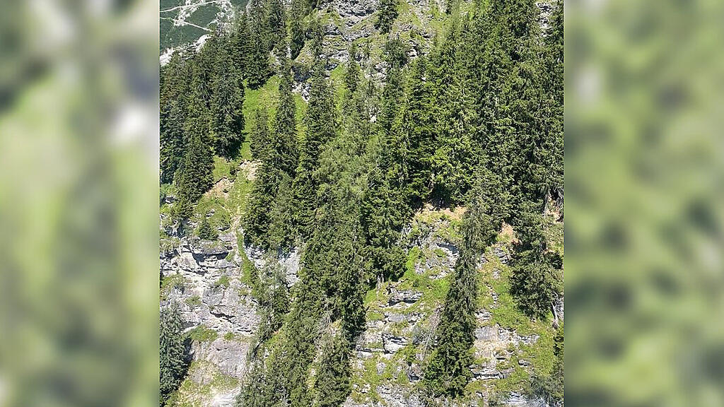 Bergnot beim Schwammerlsuchen