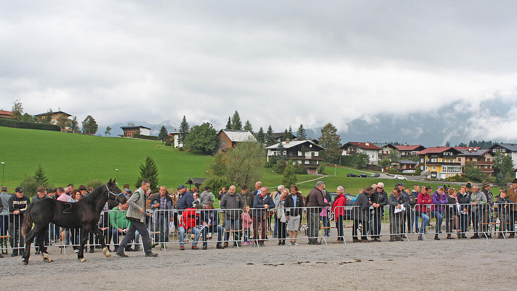 Rösslmarkt Abtenau 2021
