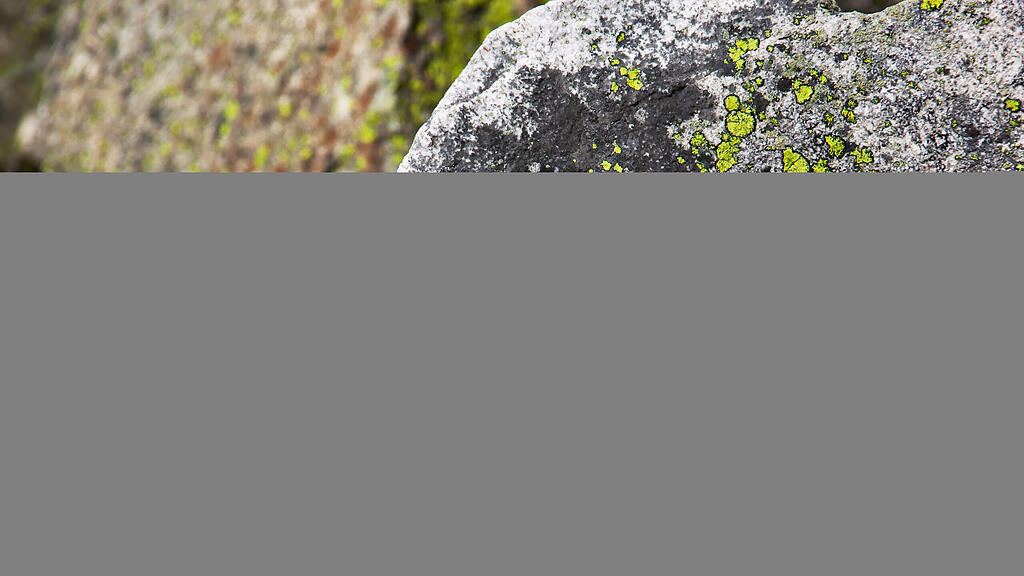 153604_Rot_weiss_rote_Wandermarkierung.jpg