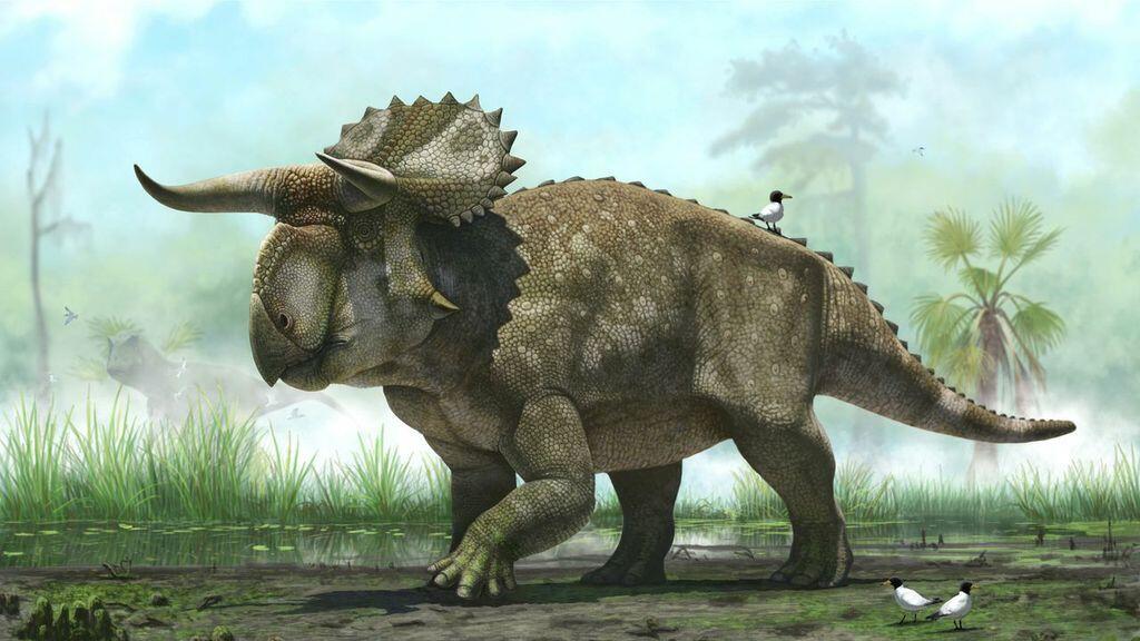 Neu entdeckter Horn-Dino hatte Maul in Form eines riesigen gekrümmten Schnabels.