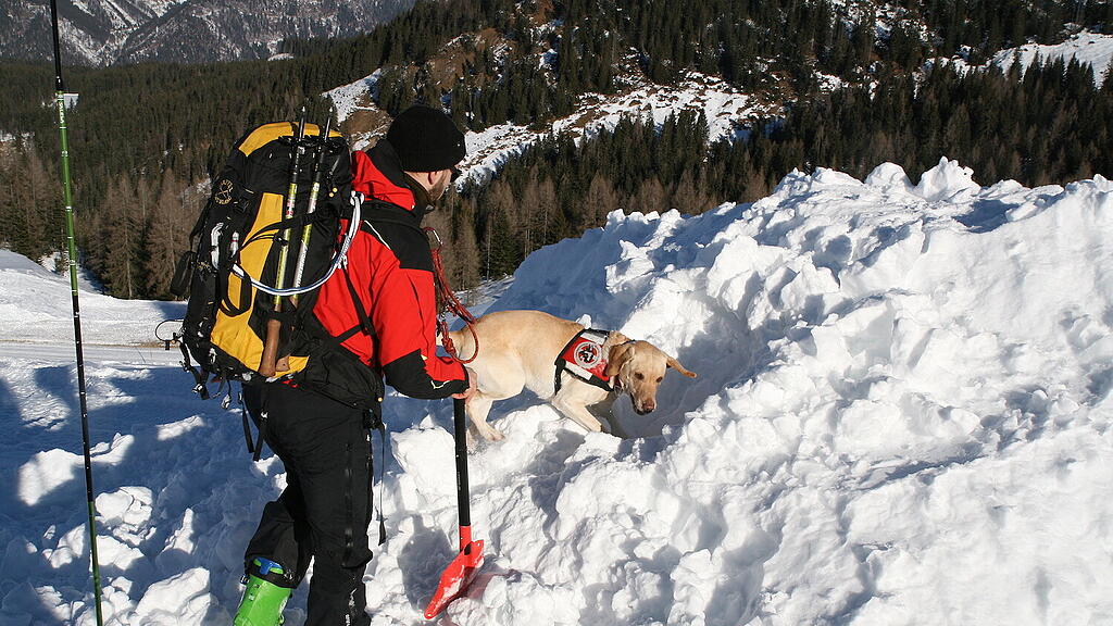 Lawinenhundetraining Annaberg Donnerkogel