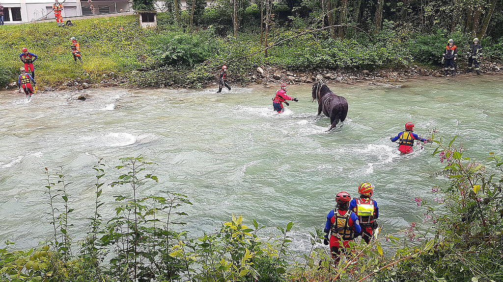 Kutschenunfall Königssee Ache