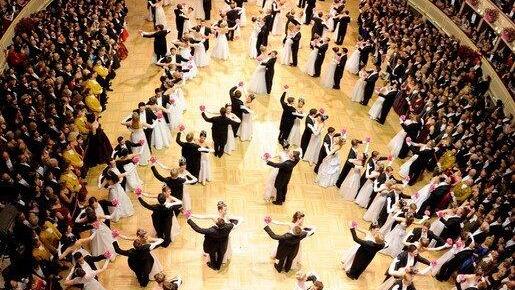 Opernball 2013: Debütanten