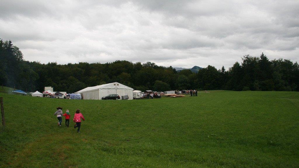 Alpaka-Fest in Adnet