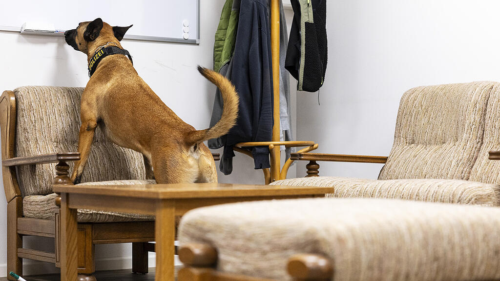 Datenspürhunde