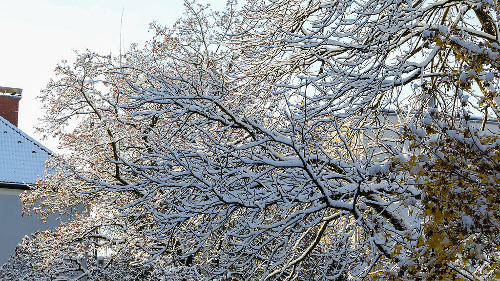 20241122_fmt_erster_schnee_salzburg_mw-15.jpg