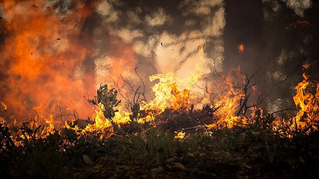 waldbrand, feuer, SB