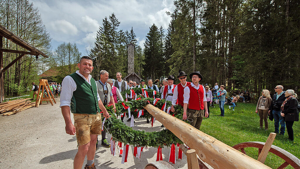 Maibaumaufstellen im Freilichtmuseum