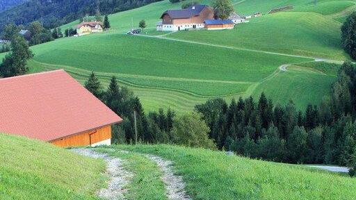 Traktorabsturz in Ebenau
