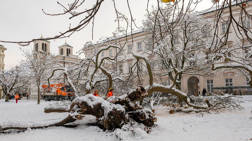 2023-12-04 11_40_03-Neue Benachrichtigung.jpg