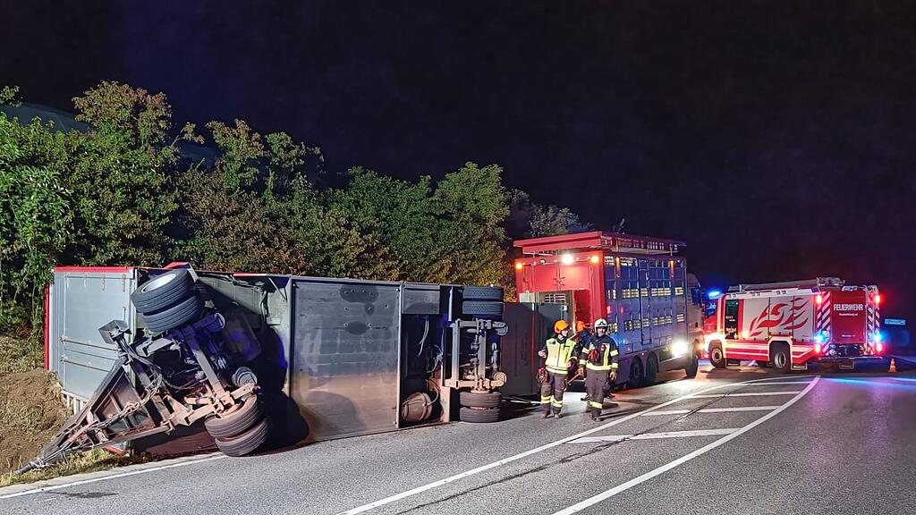 Schweinetransport kippt in NÖ um