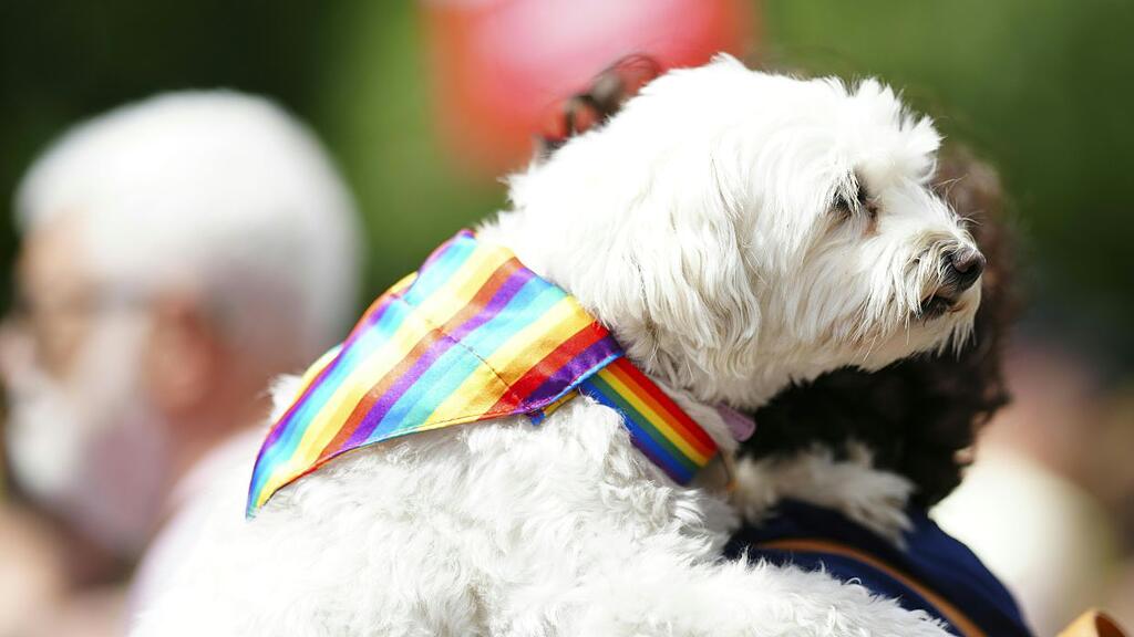 Regenbogenparade Wien 2023