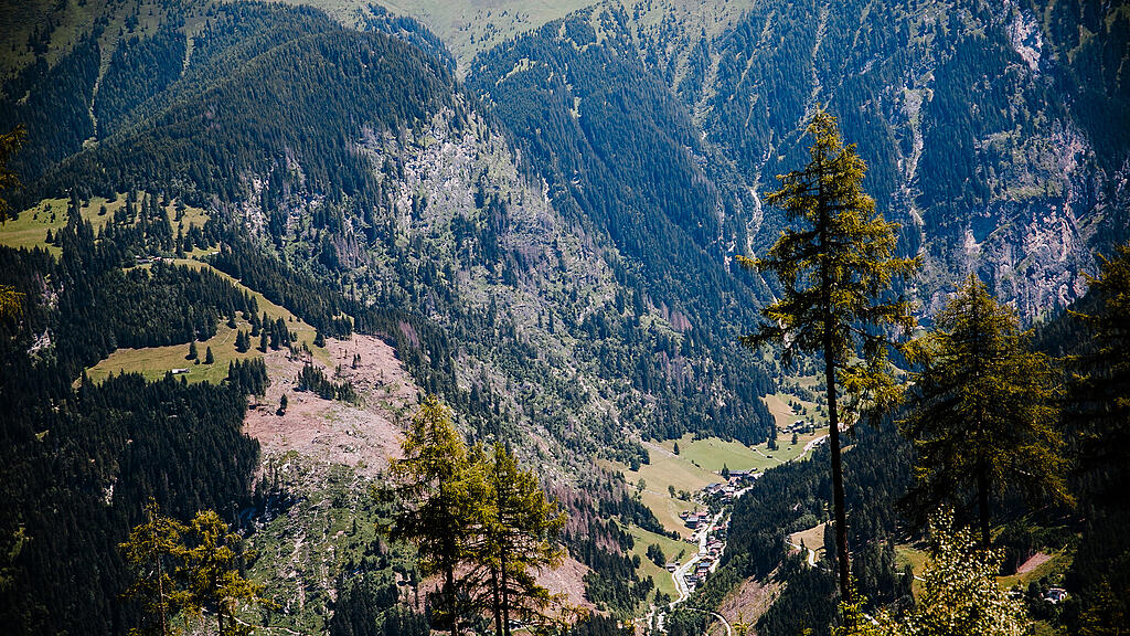 _K6B0597.jpg