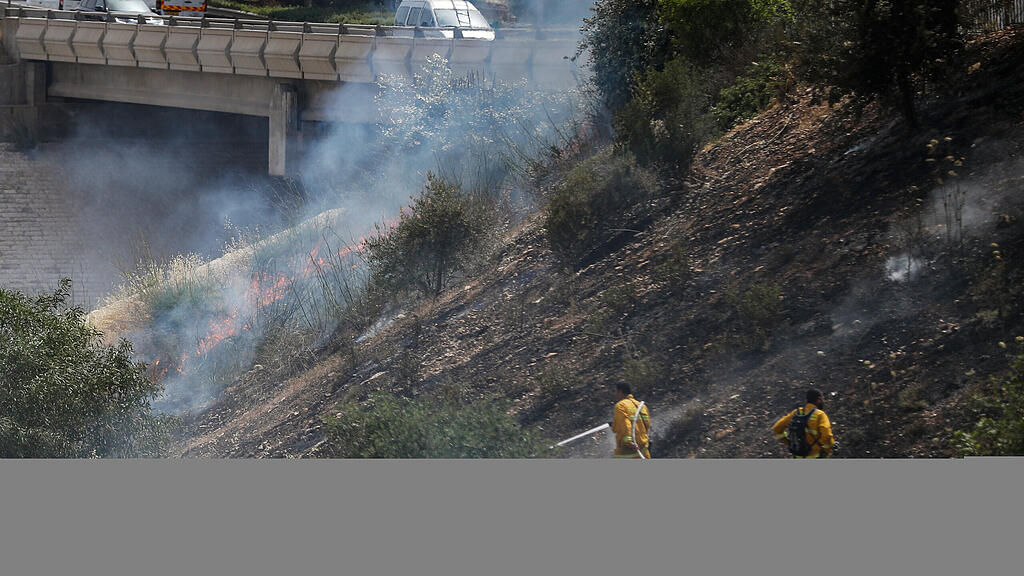 Israel, Feuer, Waldbrand