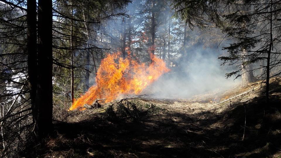Waldbrand in St. Michael