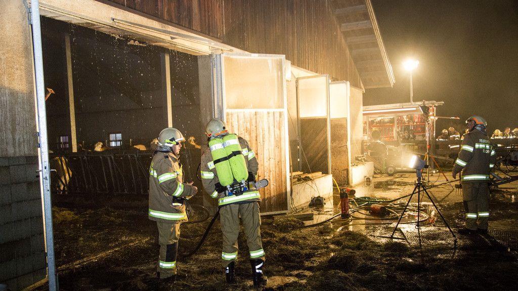 Brand eines Radladers in Flachau I