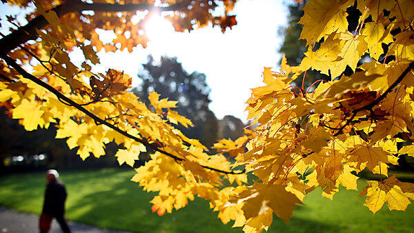 Schöne Herbsttage stehen bevor