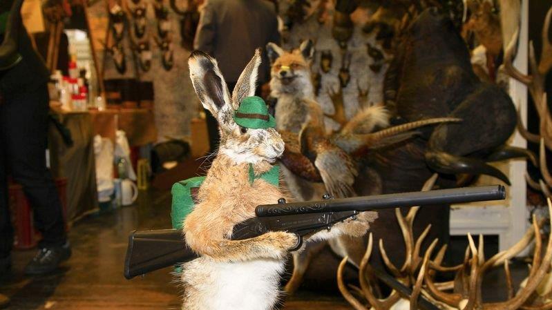 Die Jagdmesse ist eröffnet