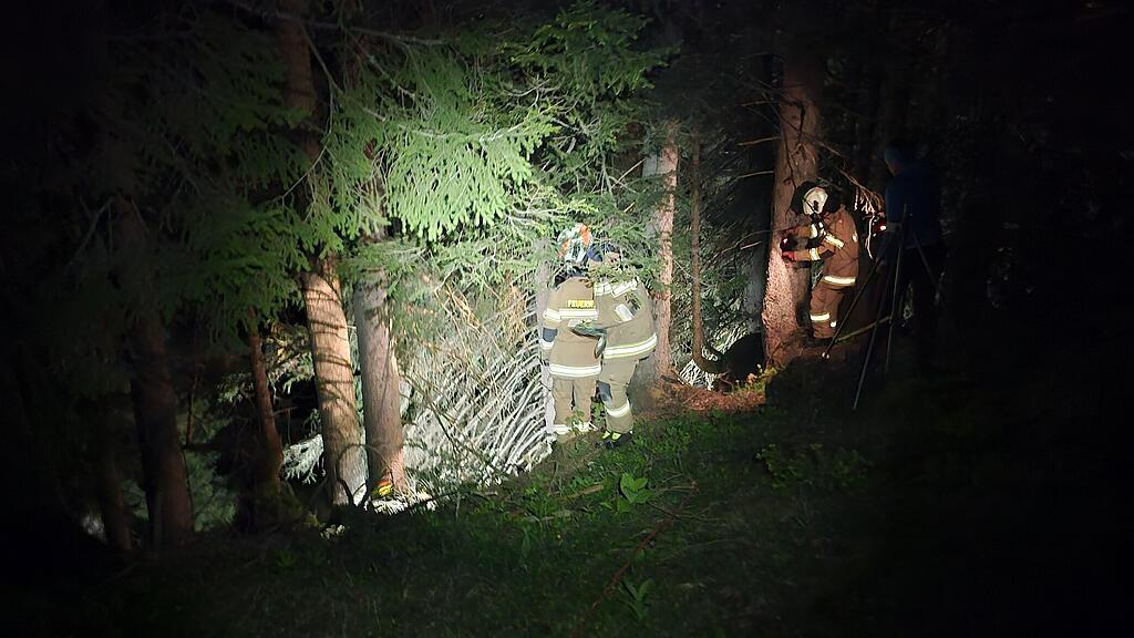 Kuh in Annaberg gerettet