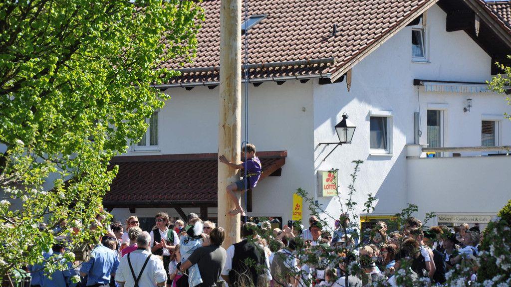 Maibaumaufstellen in Piding und Ainring