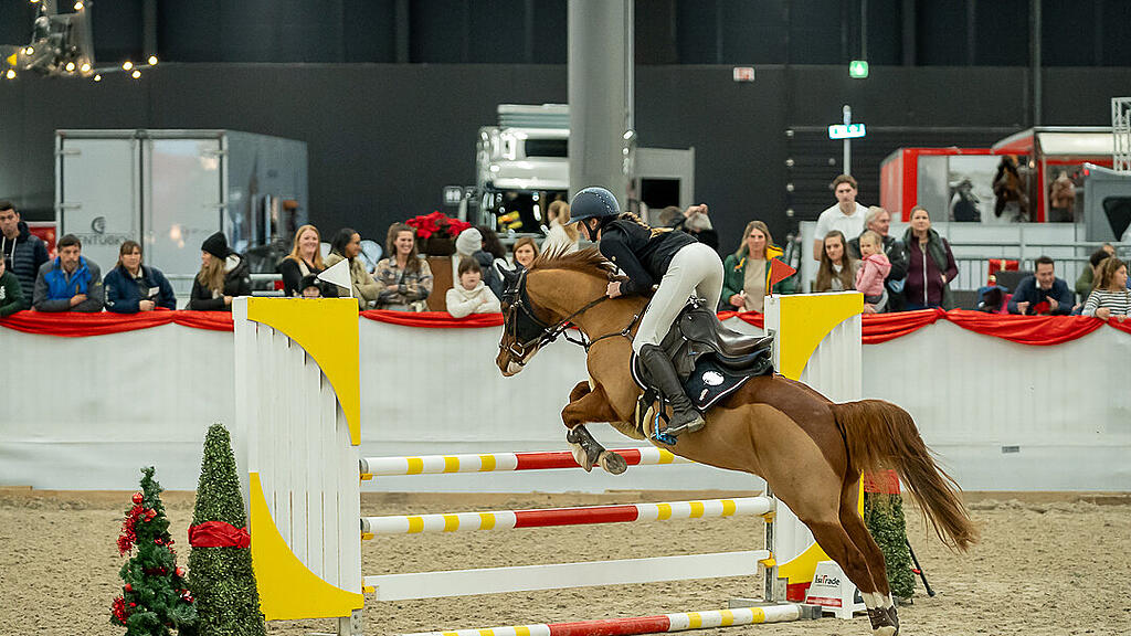 Amadeus Horse Indoors 2023