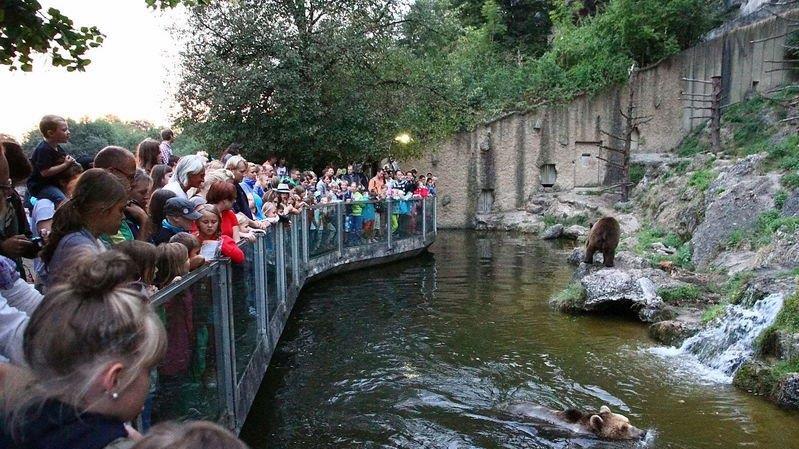 Nachtzoo in Salzburg