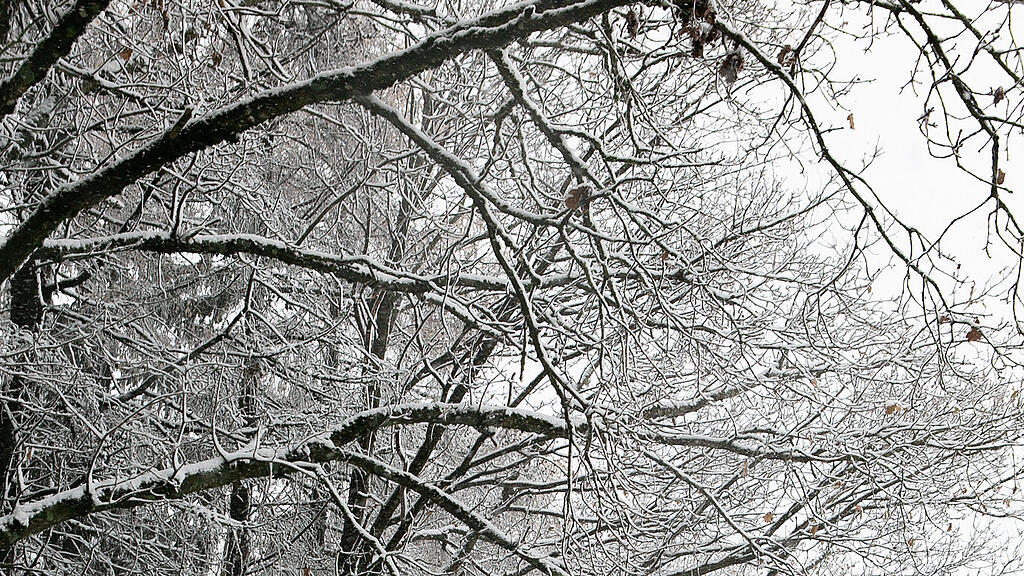Schnee am Haunsberg