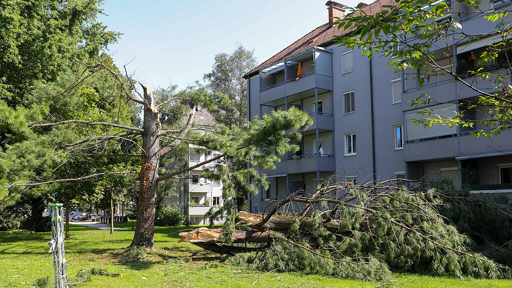 Sturmschäden Salzburg-Lehen