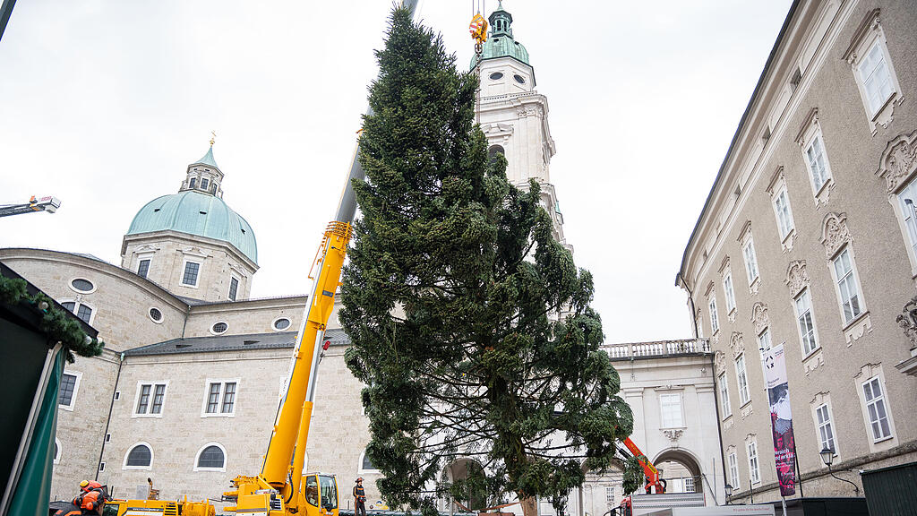 Baum am Christkindlmarkt eingetroffen