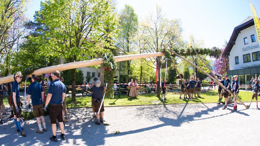Maibaum in Anif