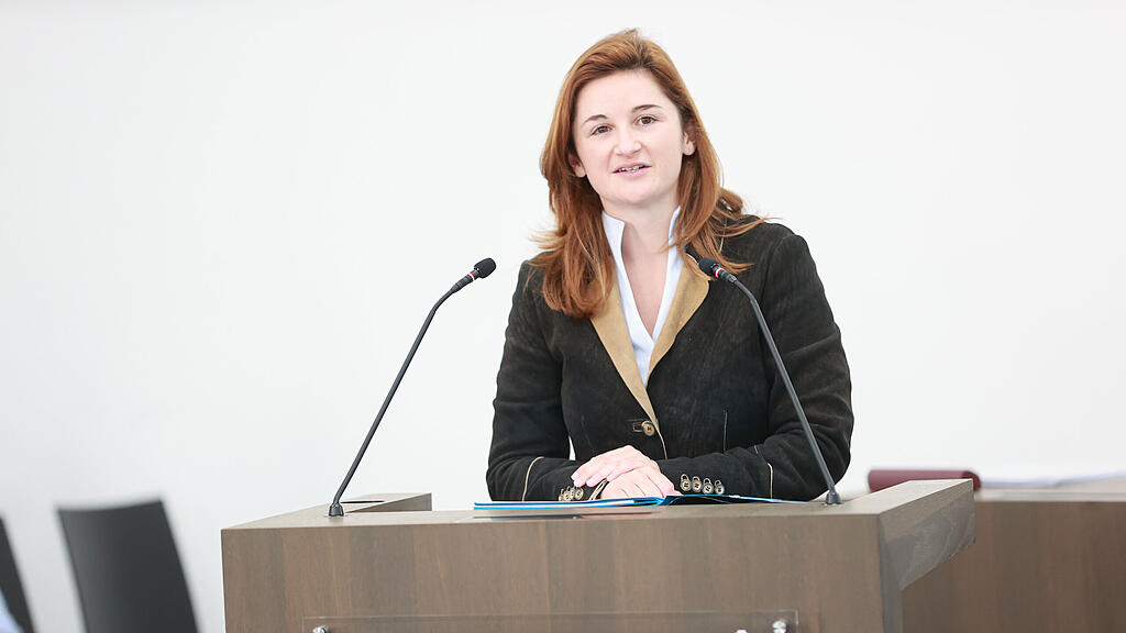svazek hearing salzburger landesregierung