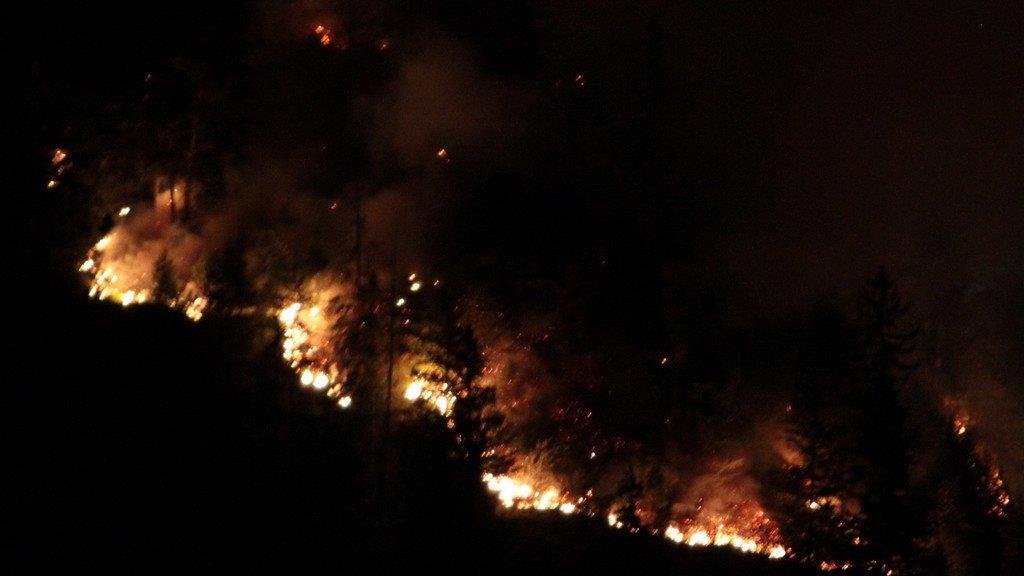 Waldbrand am Thumsee, II