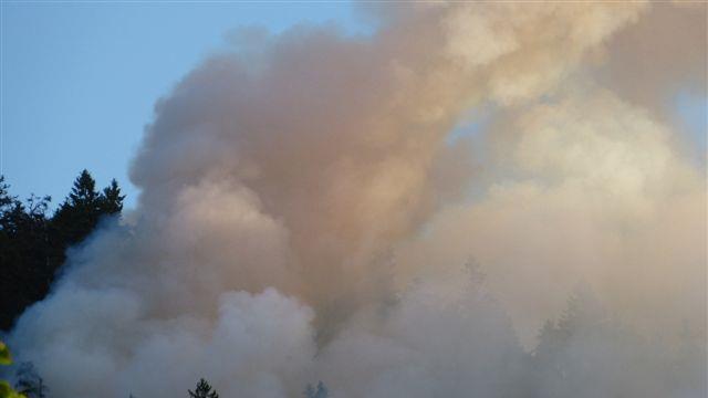 Waldbrand am Thumsee: Großeinsatz