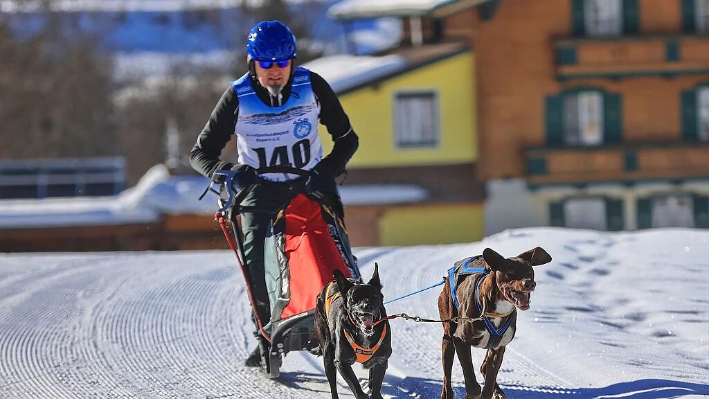 25. Hundeschlittenrennen in Werfenweng