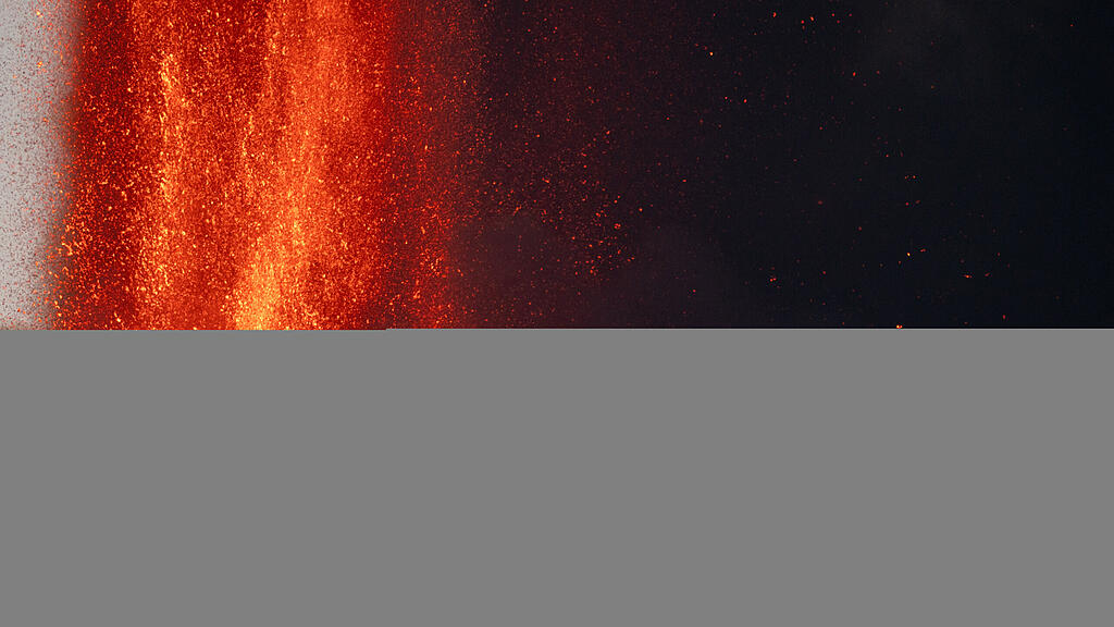 Meldungsliste(11)_7.jpg